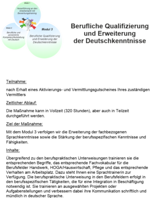 Modul3-305x400 Maßnahmen zur Aktivierung und beruflichen Eingliederung